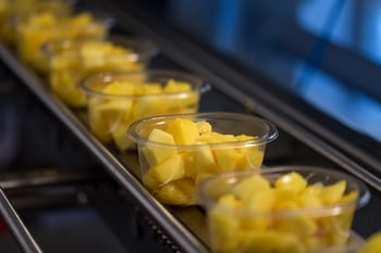 Image of fresh cut fruit linking to packaging solutions page