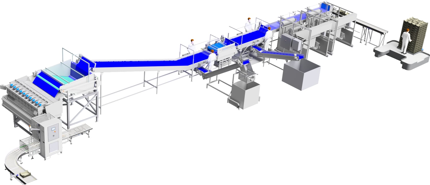 Carrot packaging line