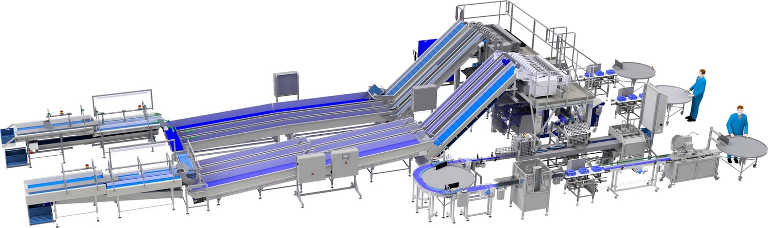 Tomato packaging line