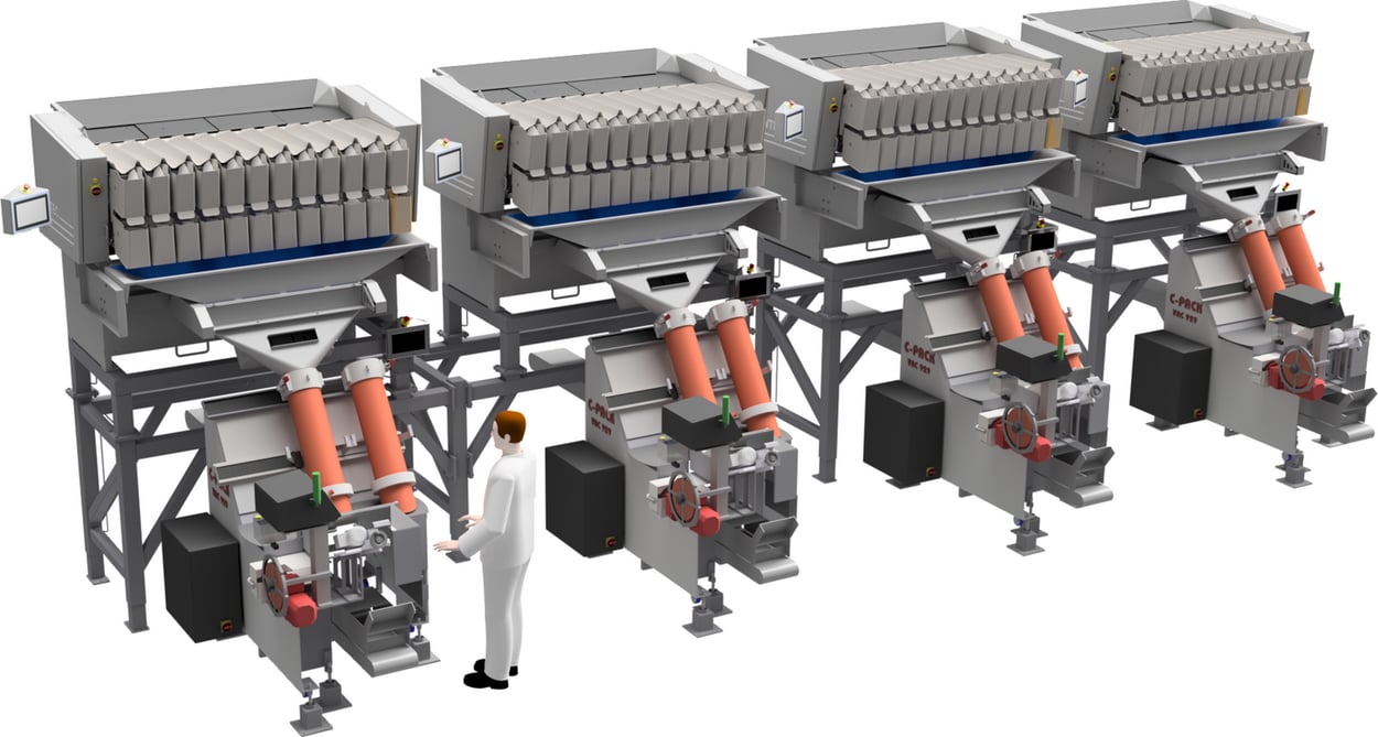 Onion packaging line
