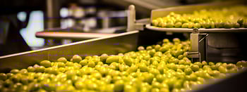 Tapas products, click to discover JASA’s packaging solutions