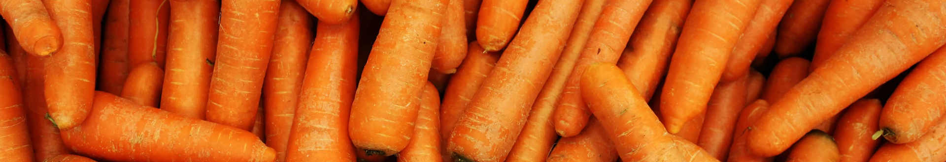 Lose Kartoffeln, die mit den kompletten Verpackungslösungen von JASA verpackt werden können