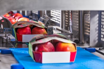 Fresh pome fruits like apples and pears ready for packaging, explore JASA’s solutions