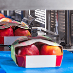 Äpfel in umweltfreundlichen Trays auf einer Verpackungslinie entdecken Sie JASAs Lösungen für hartes Obst wie Äpfel und Birnen
