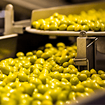 Tapas-Produkte bereit für die Verpackung erfahren Sie mehr über JASAs Verpackungssysteme für Tapas und Snacks