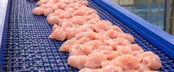 In a meat or poultry processing line