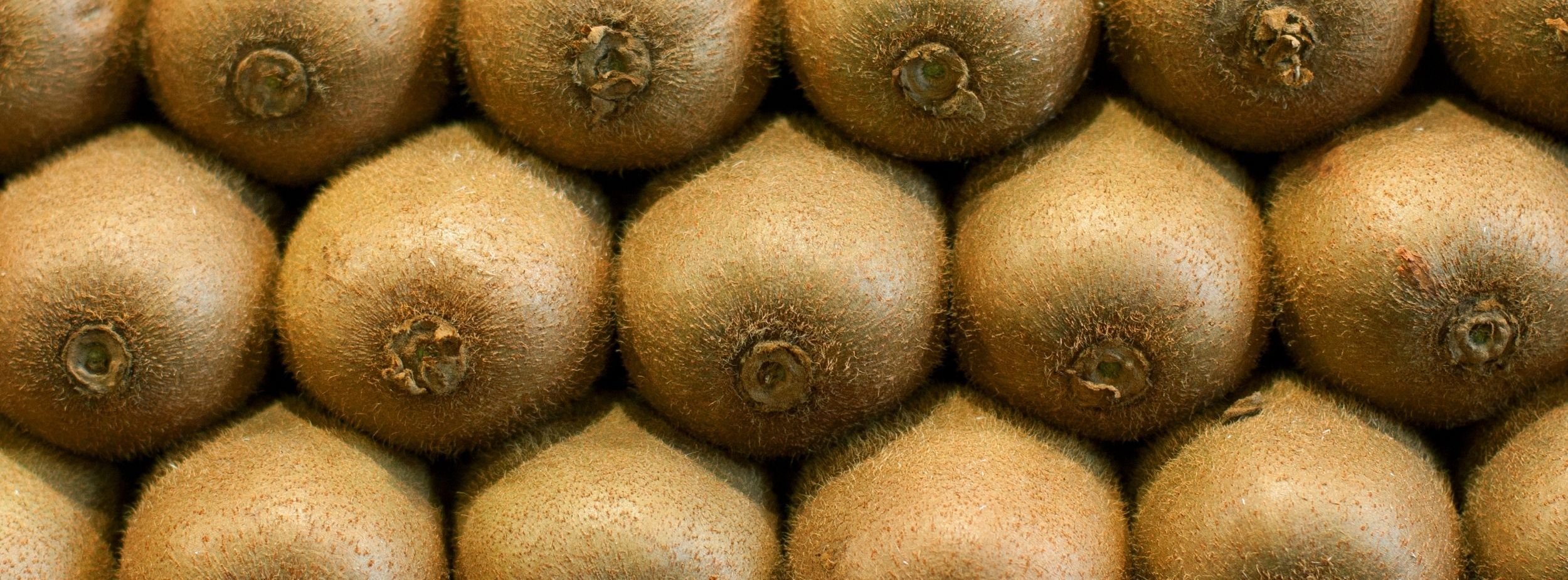 Fresh kiwis ready to be packaged with JASA’s complete packaging solutions for fresh fruit