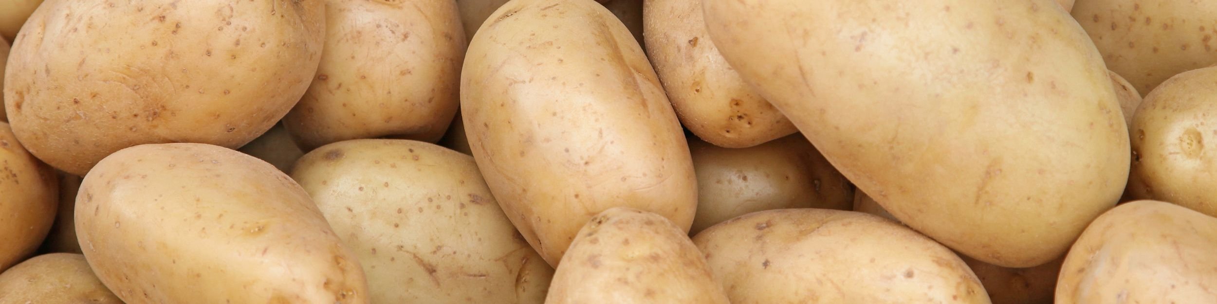 Lose Kartoffeln, die mit den kompletten Verpackungslösungen von JASA verpackt werden können