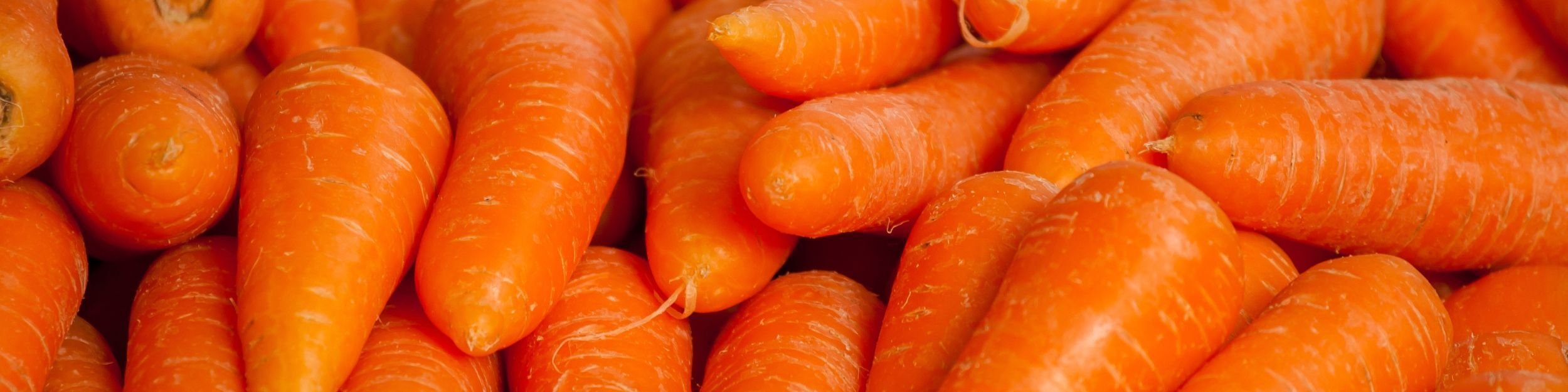 Lose Kartoffeln, die mit den kompletten Verpackungslösungen von JASA verpackt werden können