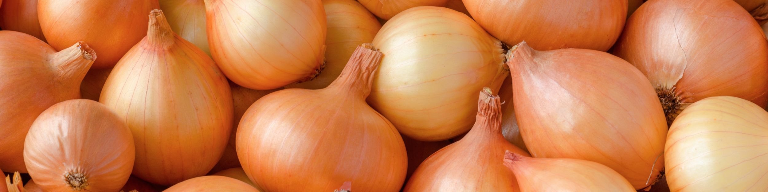 Lose Zwiebeln, die mit den kompletten Verpackungslösungen von JASA verpackt werden können