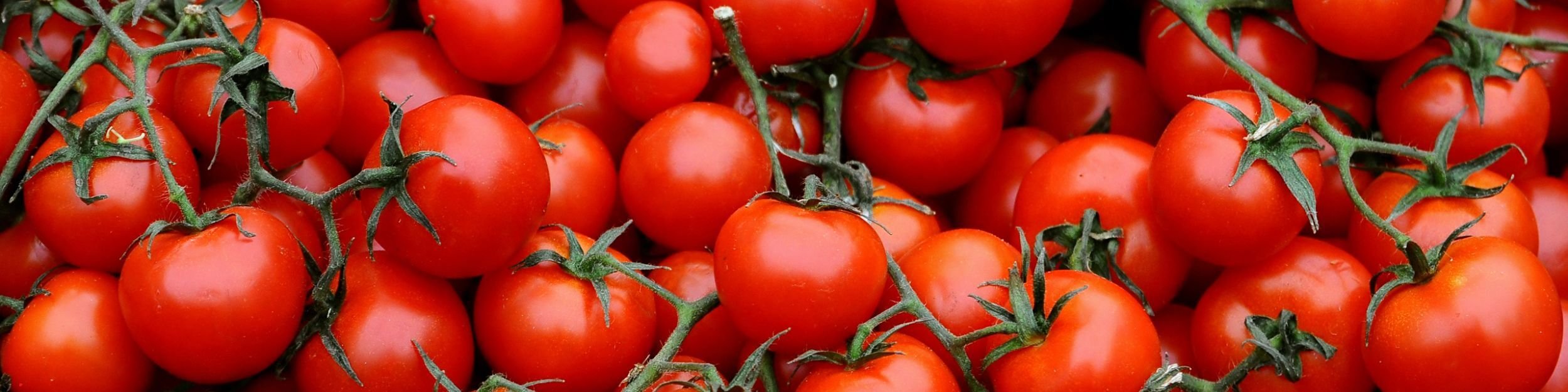 Losse tomaten die verpakt kunnen worden met JASA’s complete verpakkingsoplossingen