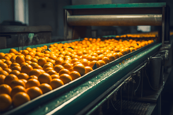 Citrus fruits prepared for weighing and high-speed packaging