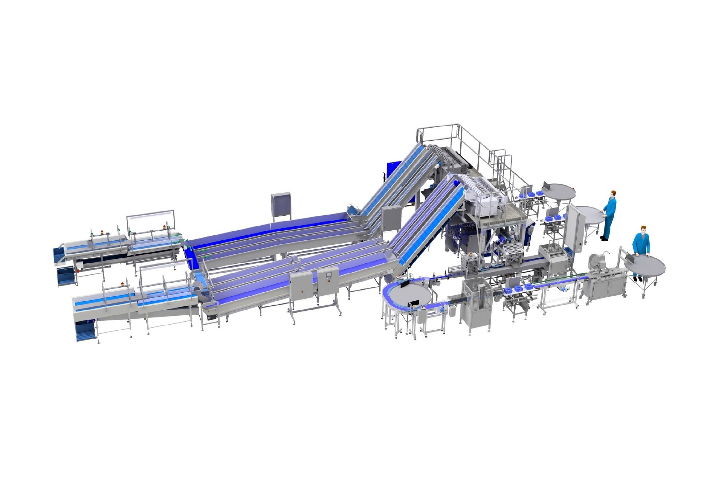 Rendering of a complete tomato packaging line as seen by the customer