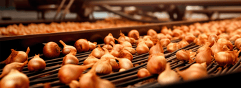 Unpackaged onions – click to view tailored packaging solutions