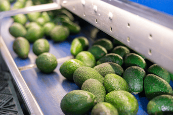 Image of fresh avocados linking to JASA’s packaging page