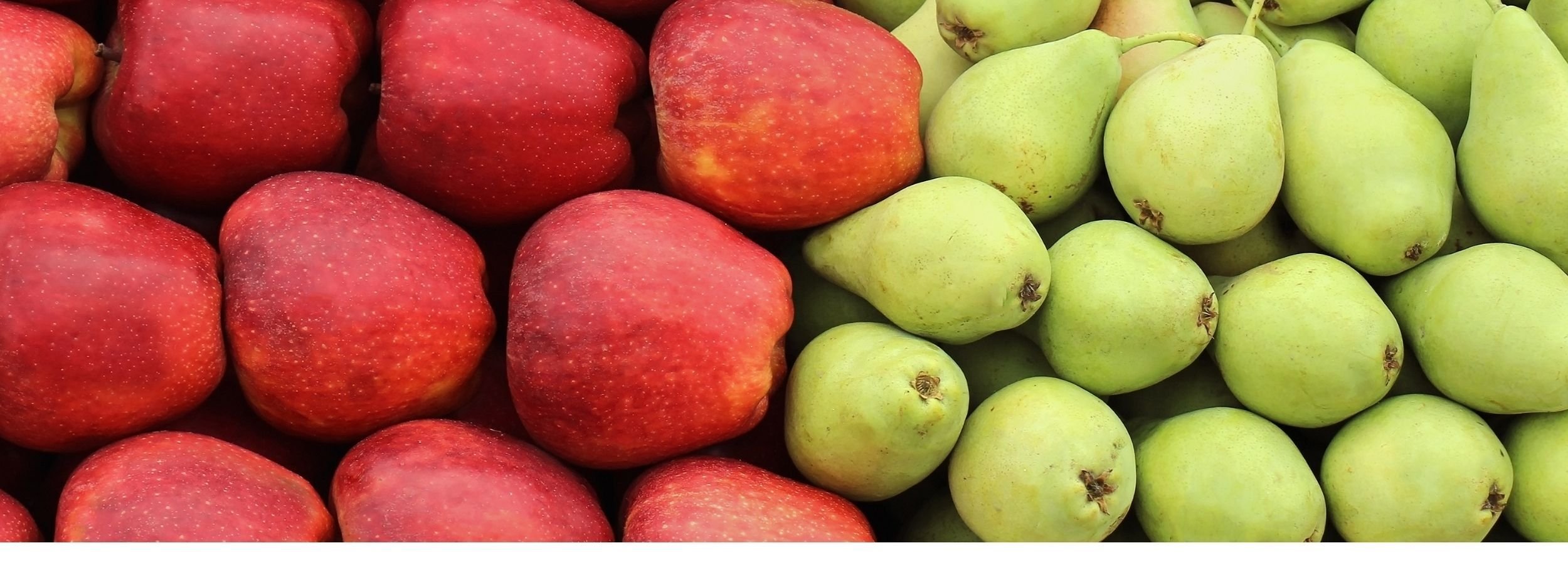 Red apples and green pears ready to be packaged with JASA’s complete packaging solutions for fresh fruit