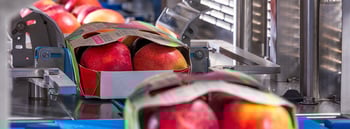 Appels en peren klaar voor verwerking – ontdek JASA’s verpakkingsoplossingen voor hardfruit zoals appels en peren