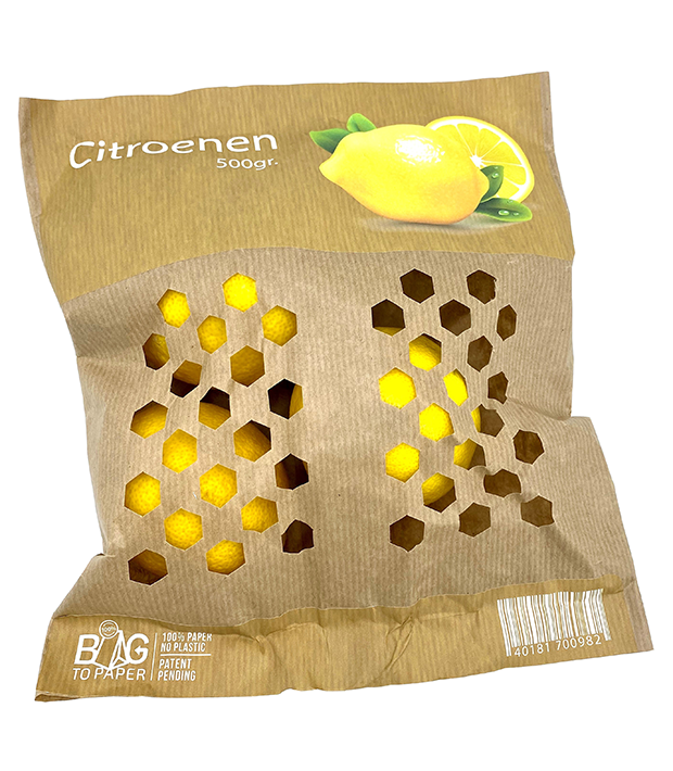 Bag-2-Paper-lemons-2820x3228-d57f35ea-1d81-4528-82e3-1f5cee4ebea6-1