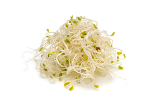 Alfalfa