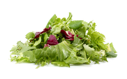 Lettuce_mixed-500x310-1502ab91-b956-4343-98b4-a4633b1139ce