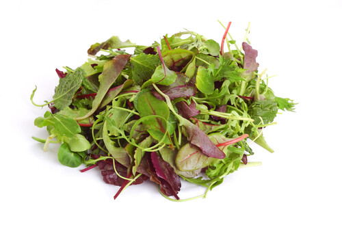 Lettuce_mixed-500x332-7e9e7f4d-a854-457f-9ec4-95005d287459