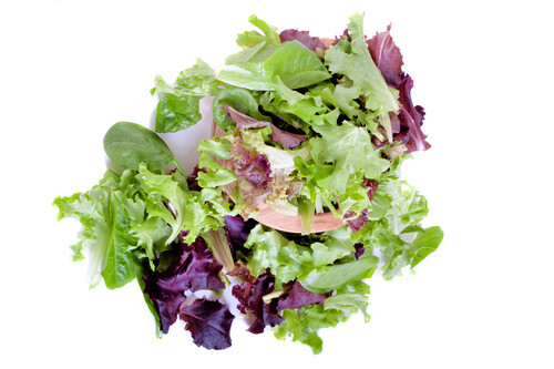 Lettuce_mixed-500x333-a2eed34c-a2f4-43a3-9b5f-016e0c667b00