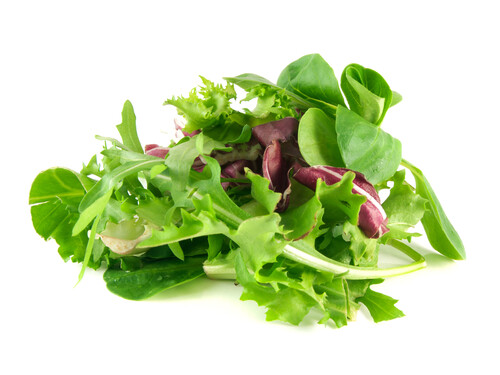 Lettuce_mixed-500x375-bcf36d54-9294-481f-8a14-08711d057127