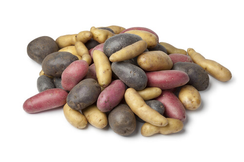 Potatoes_roseval-
