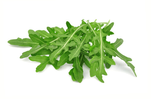 Rocket-500x329-2b27b625-e061-4c1c-9d6c-73d97da099f4