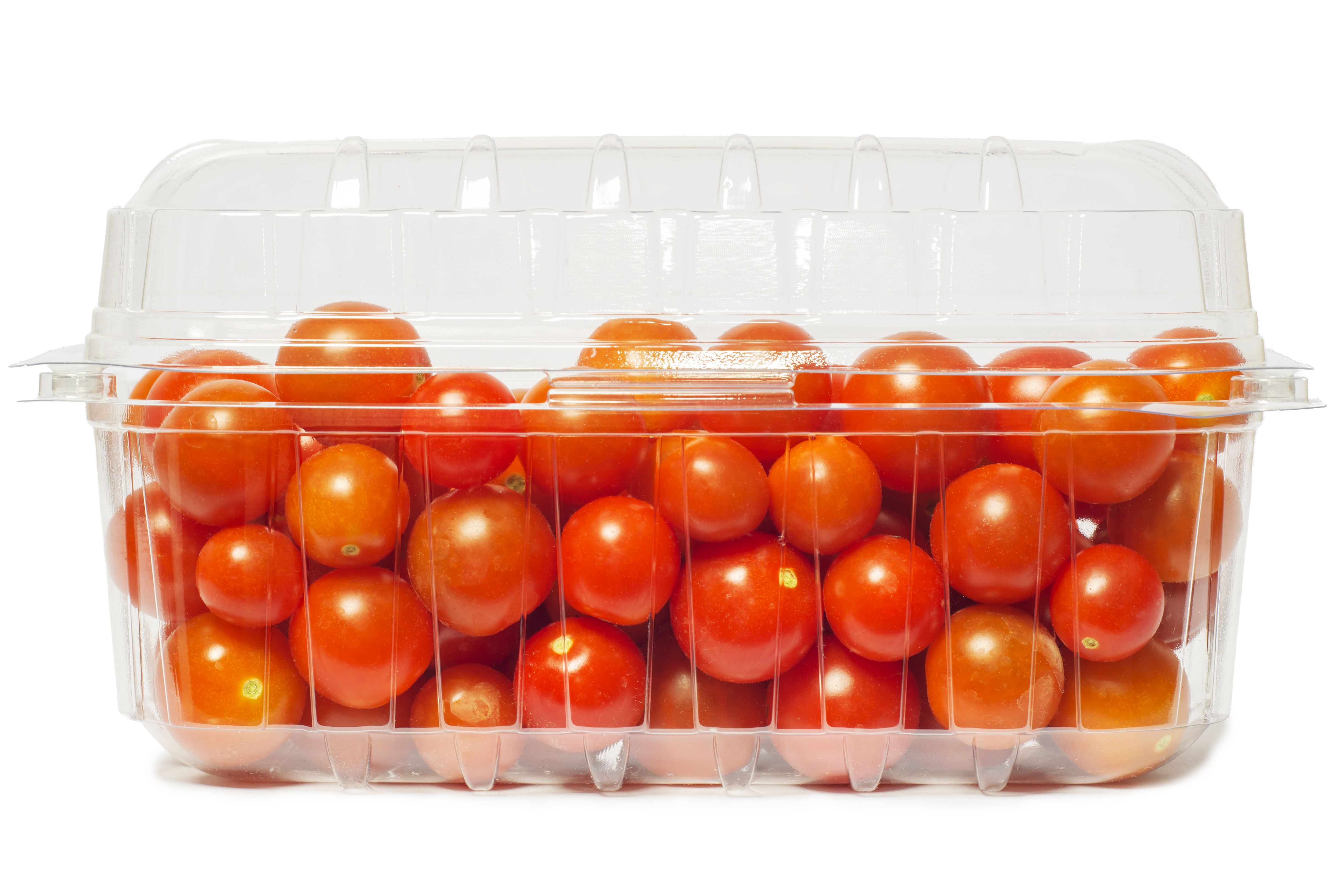 Tomatoes packed in a tray